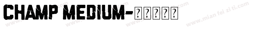 Champ Medium字体转换